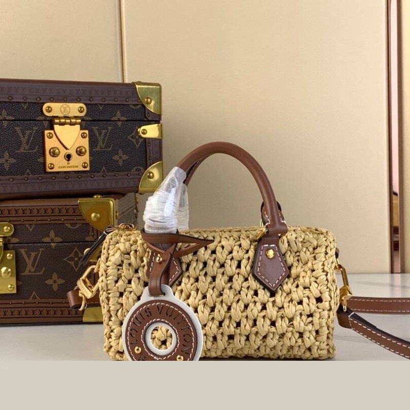 LV Speedy Bags